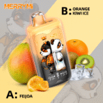 MerryMi Panda Twins 40K Puffs – Két íz egy eszközben, akár 40 000 slukk - Image 5