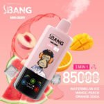 BANG Leader 85K 3-in-1 Vape – Akár 85 000 slukk, 45 ml, 850 mAh - Image 9